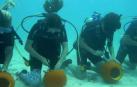 Un grupo de buzos en Florida celebra Halloween bajo el agua