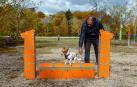 Un perro sortea uno de los obstáculos de salto que forman el circuito ‘Agility’ en el Parque de Trinitarios