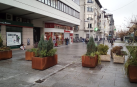 Pamplona actualiza las jardineras de la avenida Carlos III