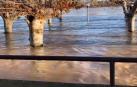El río Ebro anega el Paseo del Prado en Tudela