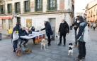 Festividad de San Antón en Tudela