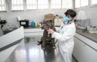 Una veterinaria junto a un perro