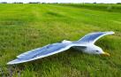 Un dron con forma de ave para uso lúdico