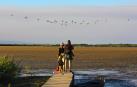 Disfrutando de la observación de aves en la laguna del Garxal, en pleno Parque Natural del Delta del Ebro