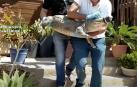 Los animales fueron trasladados por los agentes del Seprona al zoológico Cocodrilo Park