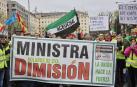 Manifestación de transportistas en Madrid, este viernes