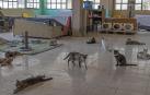 Imagen del refugio felino que la asociación Egapeludos tiene en Canasa