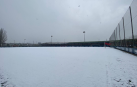 Tajonar bajo la nieve