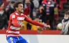 Celebración del gol de Luis Milla