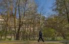 El paseo de Los Llanos, que conectaría con un puente peatonal con el paraje de la Chantona