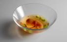 El plato del restaurante Mugaritz