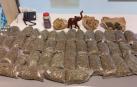 La Guardia Civil incautó en el Aeropuerto de Pamplona 47 bolsas de plástico de 3 kilogramos de peso con hojas de un árbol llamado nevesai