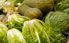 La 'Huerta de Europa' exportó el año pasado 5,7 millones de toneladas de verduras