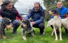 Javier Esparza (UPN), con perros de diferentes razas