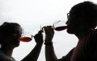 Fotos de la feria del vino D.O. Navarra Vinofest celebrada en el Baluarte tras dos años de parón