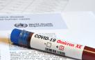 La variante XE de la covid ha sido detectada en, al menos, Reino Unido, España, Japón, India y Brasil
