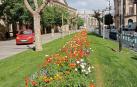Primavera en Pamplona