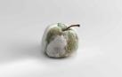 Podredumbres nobles, manzana fermentada con penicillium candidum y penicillium roquefortis, rellena de mermelada de naranja, por Andoni Luis Aduriz