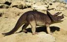 Reproducción de un Triceratops