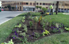 El Ayuntamiento de Pamplona inicia la plantación de parterres