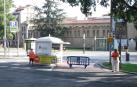 Dos naranjitos, en la zona del aparcamiento del Rincón de la Aduana