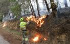 Trabajos de extinción del fuego declarado en los montes próximos a Yesa este lunes, 20 de junio