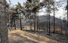 Fotos de los incendios en Navarra y sus efectos este martes. Vista de los daños causados por el fuego en la sierra de El Perdón y sus alrededores.