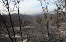 Fotos de los incendios en Navarra y sus efectos este martes. Vista de los daños causados por el fuego en la sierra de El Perdón y sus alrededores.