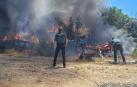 Agentes de la Guardia Civil han colaborado en la extinción del fuego