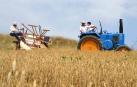 Miranda de Arga regresa al pasado para recuperar oficios de antaño, incluido el trabajo tradicional agrícola