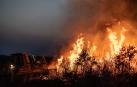 Incendio de Losacio (Zamora)