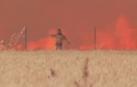 La desesperación casi le cuesta la vida a un vecino de Tábara (Zamora) que ante el avance de las llamas quiso hacer un cortafuegos con una excavadora. Debido al fuerte viento, en segundos se vio envuelto por las llamas.