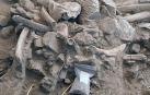 Primer plano de la pila de huesos durante la excavación