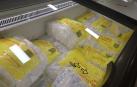 Varias bolsas de hielo en el congelador de un supermercado