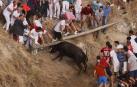 Fotos del último encierro del Pilón de Falces