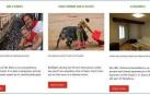 Imagen de la página web donde se ofrecían los servicios turísticos inexistentes