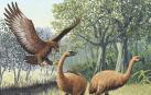 Ilustración de un águila de Haast atacando a un moa gigante de la isla Sur, en Nueva Zelanda