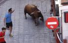 Último encierro de San Sebastián de los Reyes