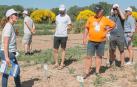 La sociedad pública INTIA ha puesto en marcha una campaña para destacar el papel de la ganadería extensiva en Navarra en el control de incendios forestales
