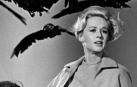 Fotograma de la película Los pájaros (1963)