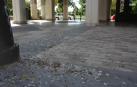 plaza pintor paret. problemas con palomas.