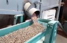 Una fábrica de pellets