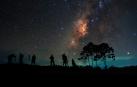Estrellas en el firmamento