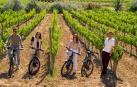 El viajero también puede, con cita previa, pasear en bicicleta eléctrica por Bodega Pagos de Araiz.