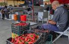 El pimiento es el protagonista estos días en Puente la Reina