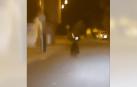 Captura del vídeo del oso en las calles de Ponferrada