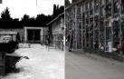 Comparativa del cementerio de San José entre 1980 y 2022