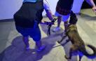 La Policía Municipal ha actuado con 5 personas que portaban pequeñas cantidades de droga.