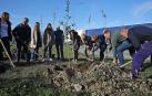 Un momento de la plantación a cargo del Consistorio de Galar y de empresas del área comercial