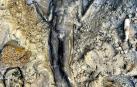 Fotos del hallazgo de 24 estatuas romanas y etruscas en las termas San Casciano dei Bagni, en Siena. /